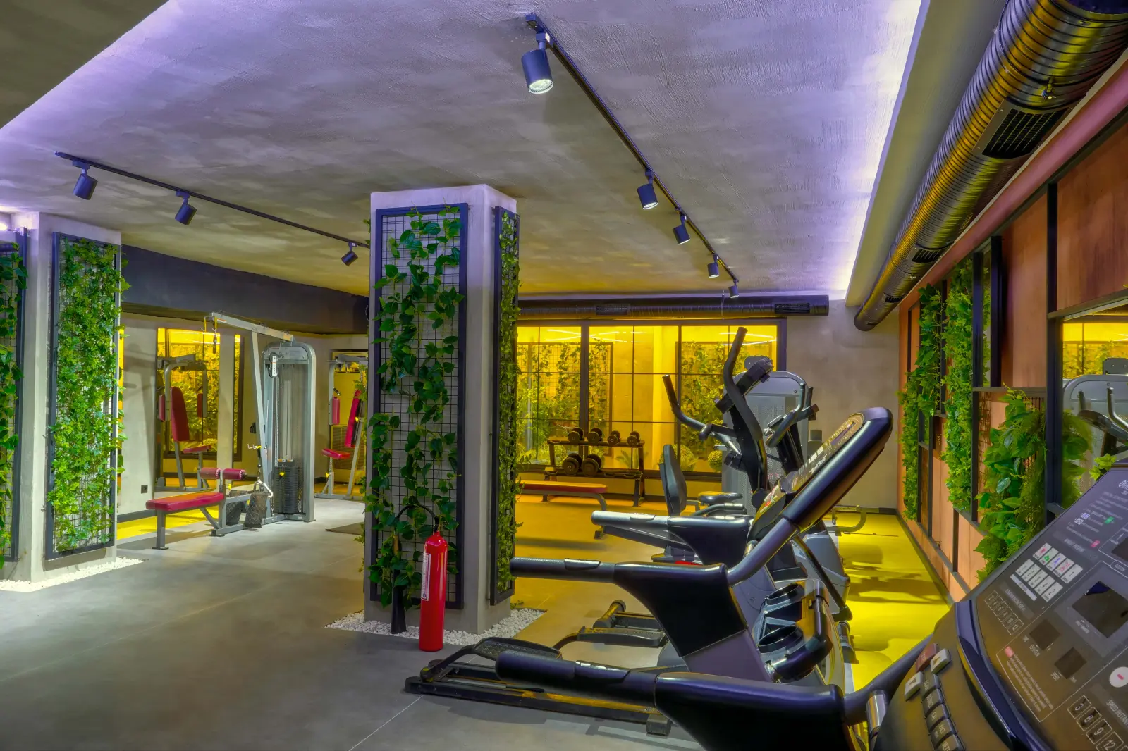Fitness 1
